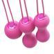 Набір вагінальних кульок Je Joue - Ami Fuchsia (косметичка у подарунок) SO3044 фото сексшопу ЦЕ МІЖ НАМИ 3