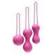 Набір вагінальних кульок Je Joue - Ami Fuchsia (косметичка у подарунок) SO3044 фото сексшопу ЦЕ МІЖ НАМИ 2